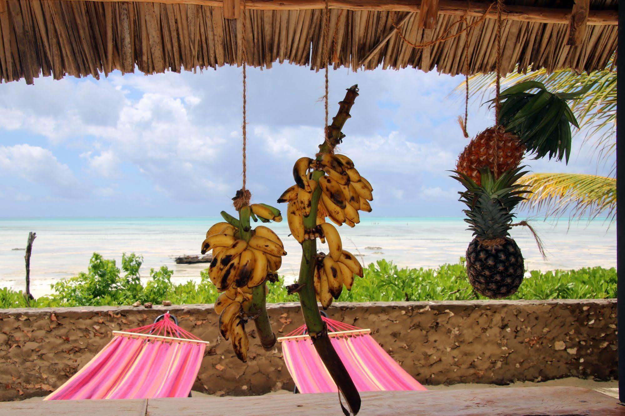 Blue Reef Sport & Fishing Lodge And Bungalows Jambiani  Esterno foto